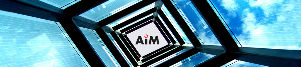 AIM-Analisis e inteligencia de Mercado